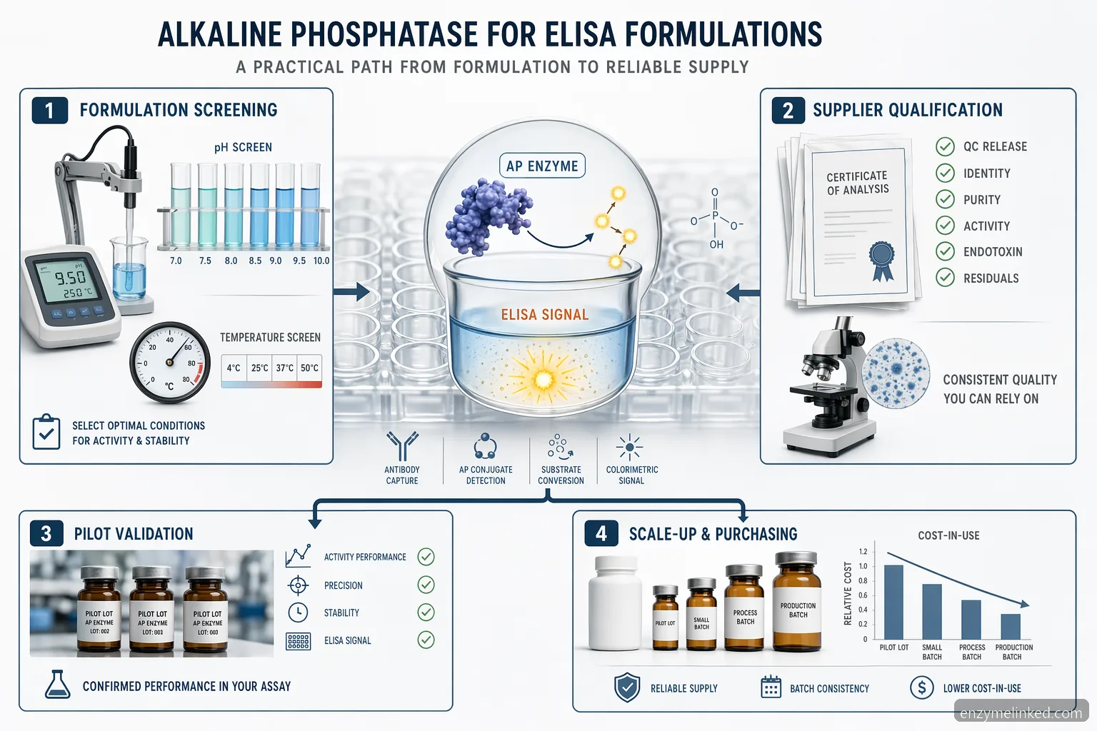 alkaline phosphatase diagnostic supplier for elisa guide showing enzyme selection, QC, validation, and scale-up