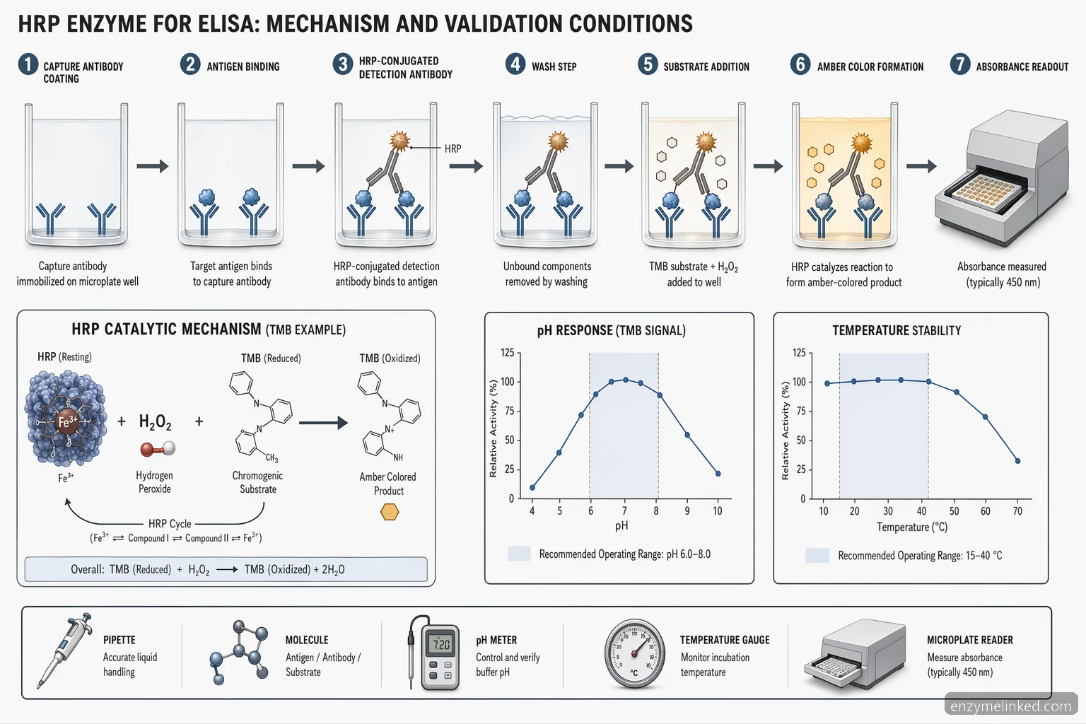hrp enzyme for elisa process diagram, showing antibody conjugation, substrate color change, and pH-temperature controls