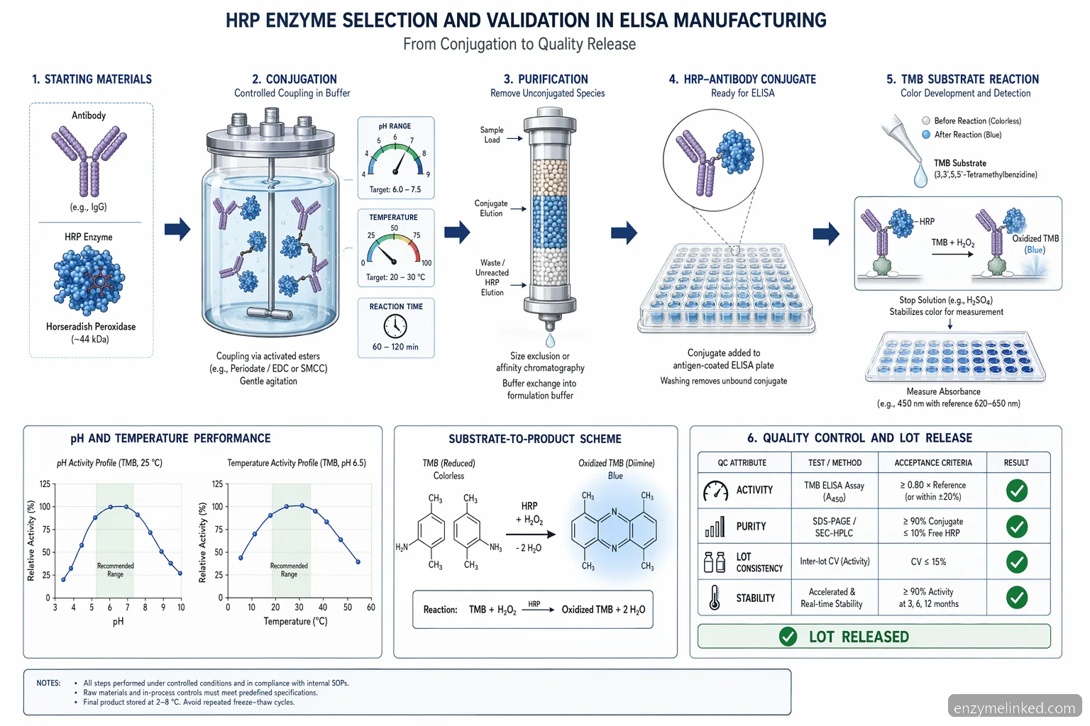 hrp enzyme supplier for elisa process guide, HRP conjugation flow links pH, temperature, substrates and QC release tests