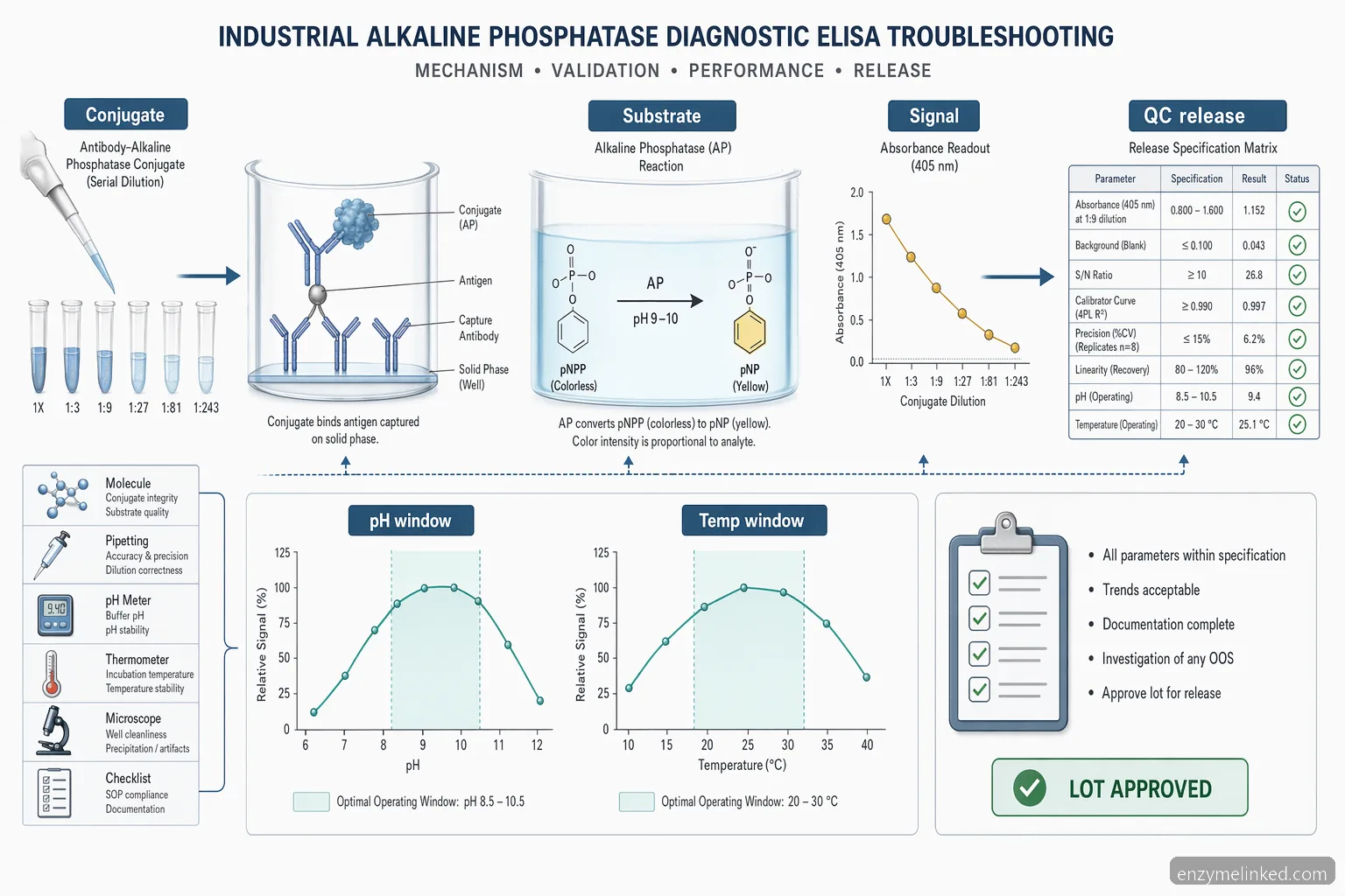 industrial alkaline phosphatase diagnostic elisa troubleshooting process diagram showing conjugate dilution, substrate reaction, and QC release