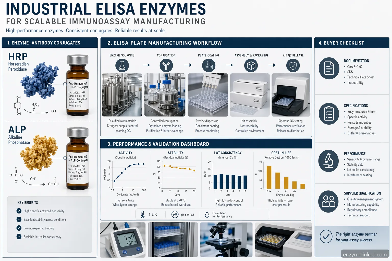 industrial elisa enzymes elisa kit manufacturing infographic showing HRP, AP, validation, QC, and sourcing checks