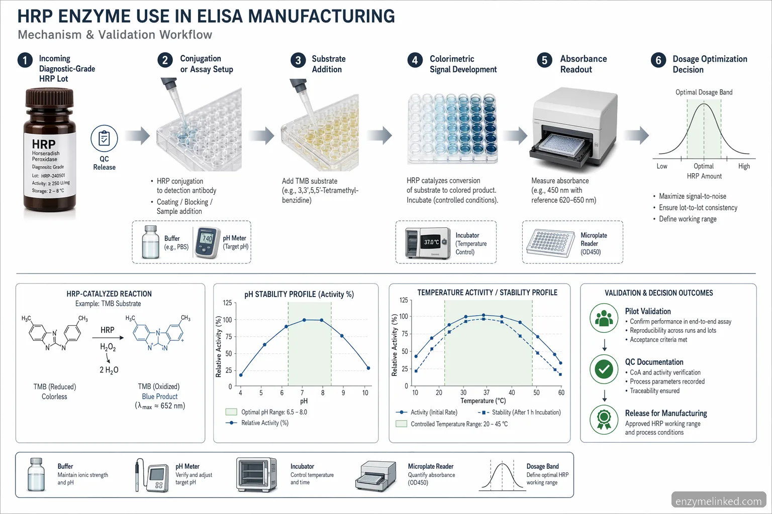 industrial hrp enzyme diagnostics ELISA process diagram showing reaction flow, pH curve, temperature control, and QC